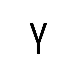 Yassi Foundation