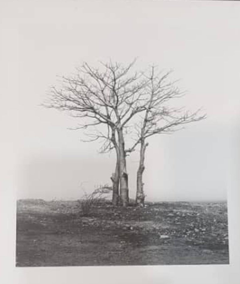 Bahman Jalali, Untitled
