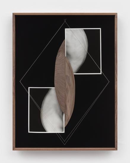 Sheree Hovsepian, Clone, 2022