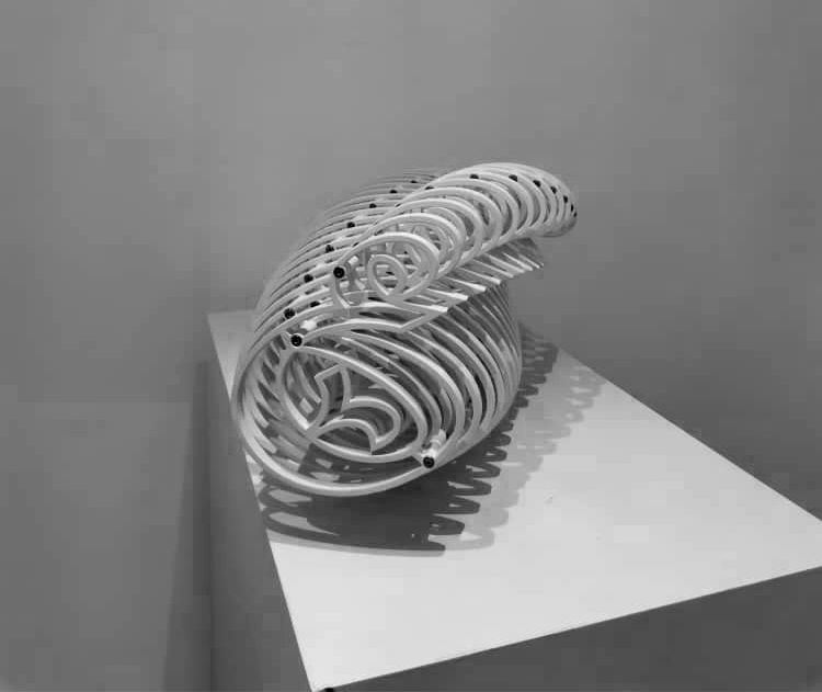 Alireza Astaneh, Untitled, 2021