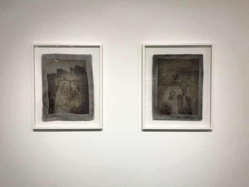 Homeland, installation view