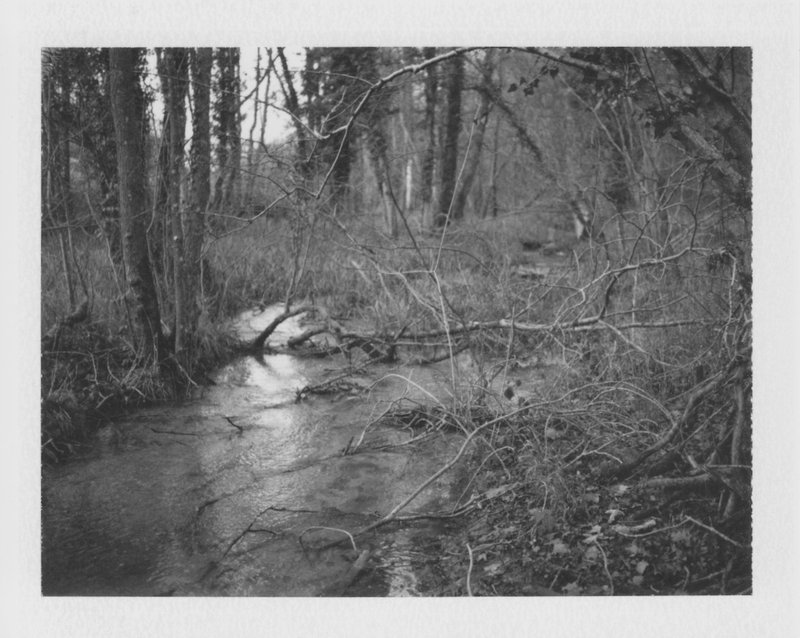 Cyrus Mahboubian, Winter Landscape, Oxfordshire II, 2021