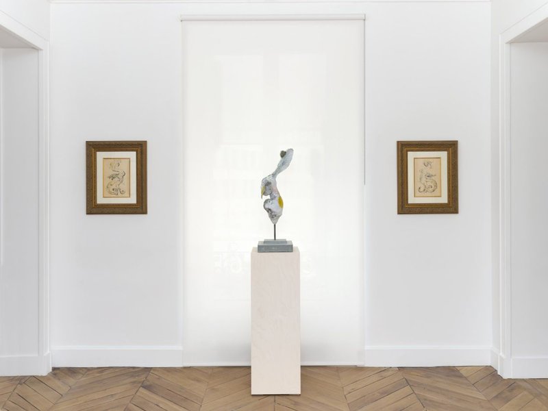 Rara avis, installation view
