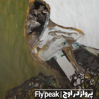 Flypeak