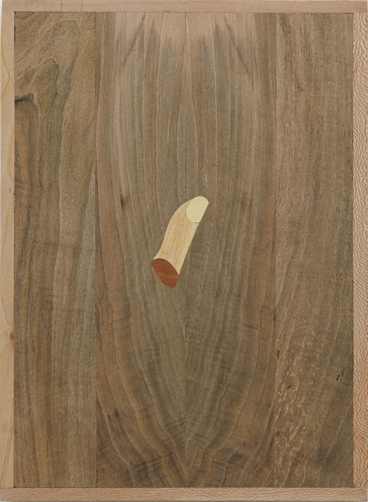 Farhad Ahrarnia, The Served Thumb, 2024