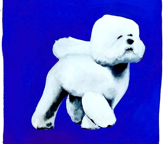 Shabahang Tayyari, Untitled, 2019