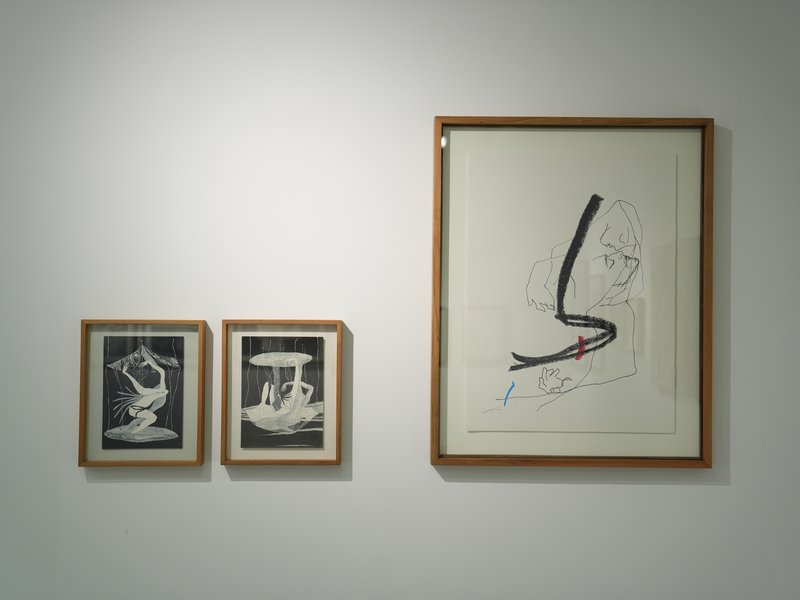 The HAYA Collection and Other Selections Selected, installation view