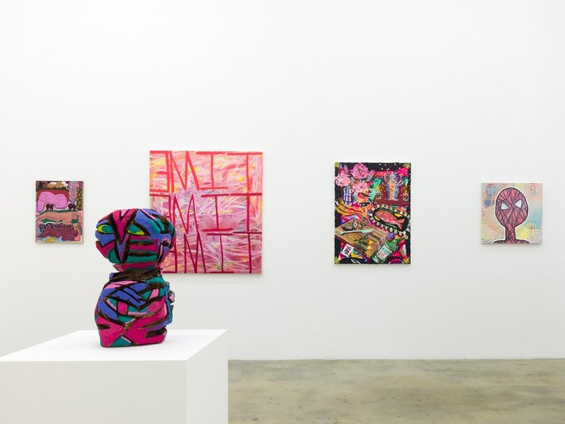 Wild Frontiers, installation view