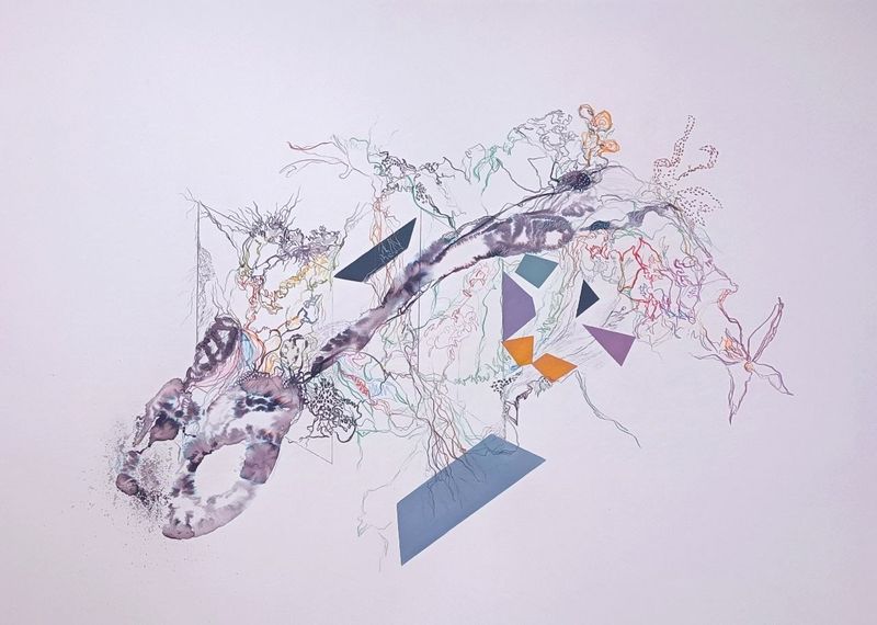 Roya Ramezani, Untitled