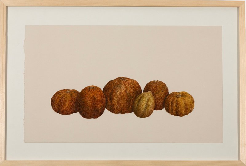 Erfan Rouhina, Untitled, 2026