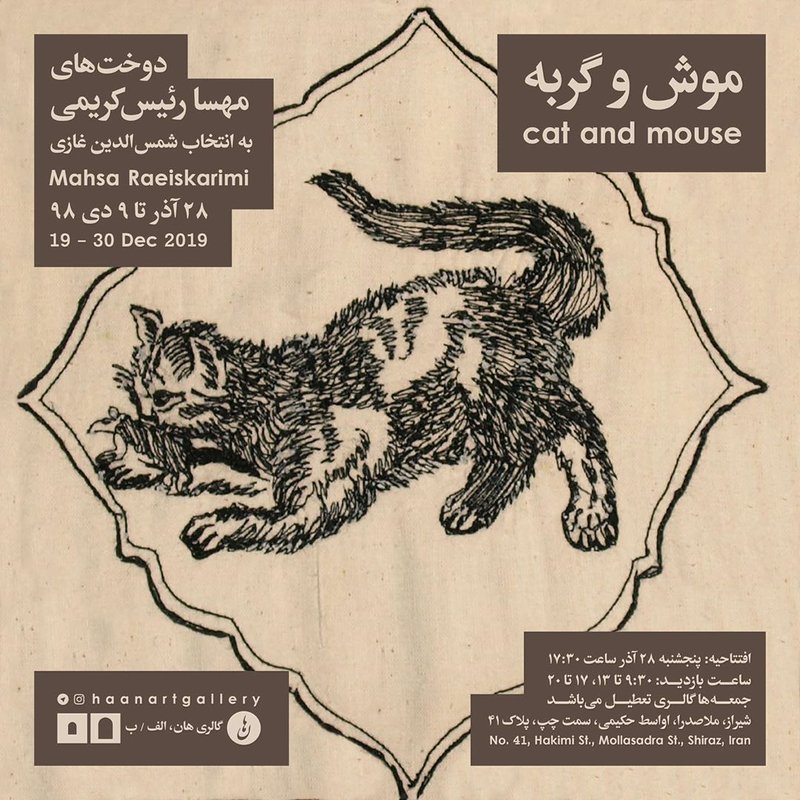 موش و گربه