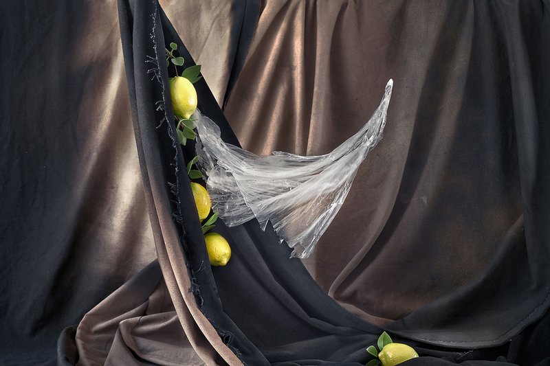 Setare Sanjari, Untitled, 2019