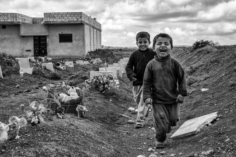 Maryam Ashrafi, Untitled