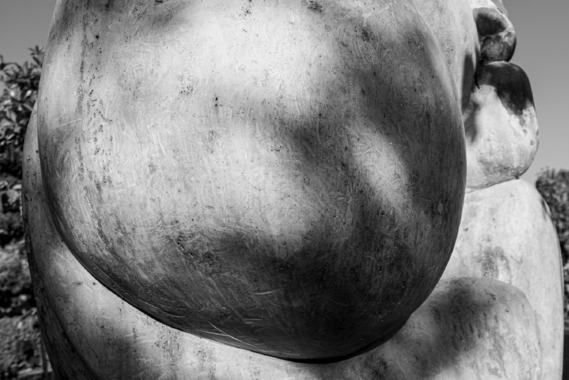 Hengame Hosseini, Figure 2, 2022