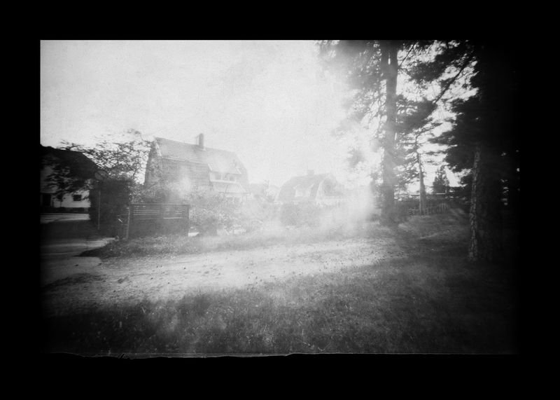 Nazli Abbaspoor, Untitled