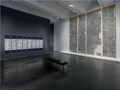 Installation view.