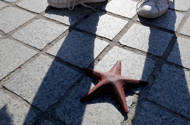 Don’t Step on the Starfish