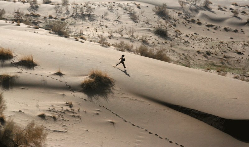 Milad Houshmandzadeh, Untitled, 2012