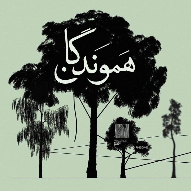 هموندگان