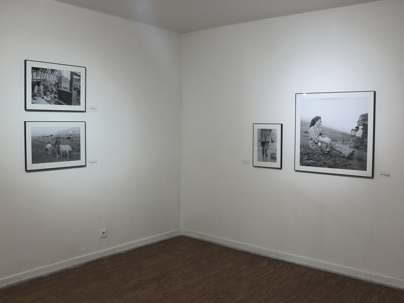 Life away from War, installation view