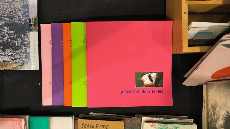 Saba Hasanzadeh, A Few Variations to Hug
