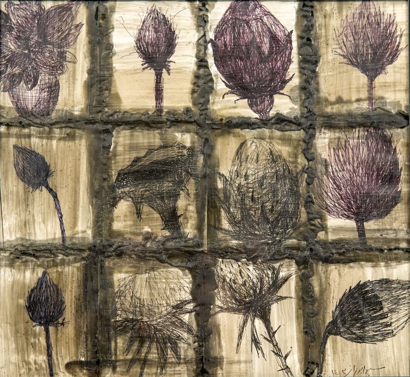 Shiva Nuran, Eryngium, 2024