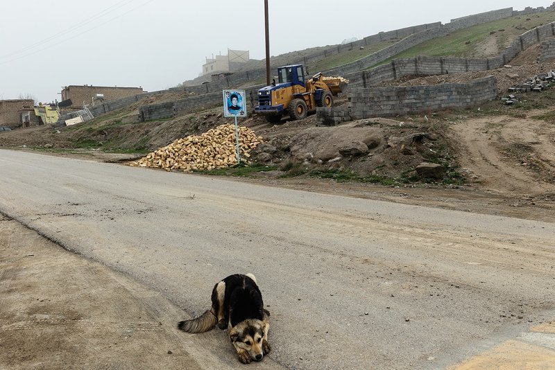 Narjes Naderi Nejad, Khorasan Razavi Province, Golmakan, 2019