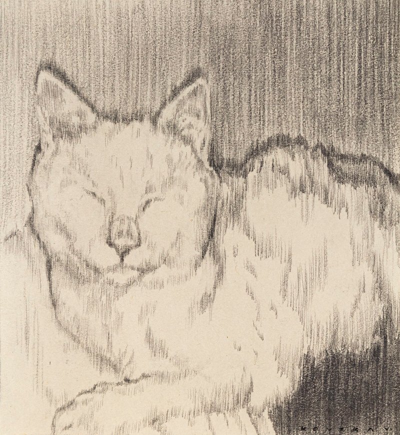 Peyman Konjkav, The Cat, 2021