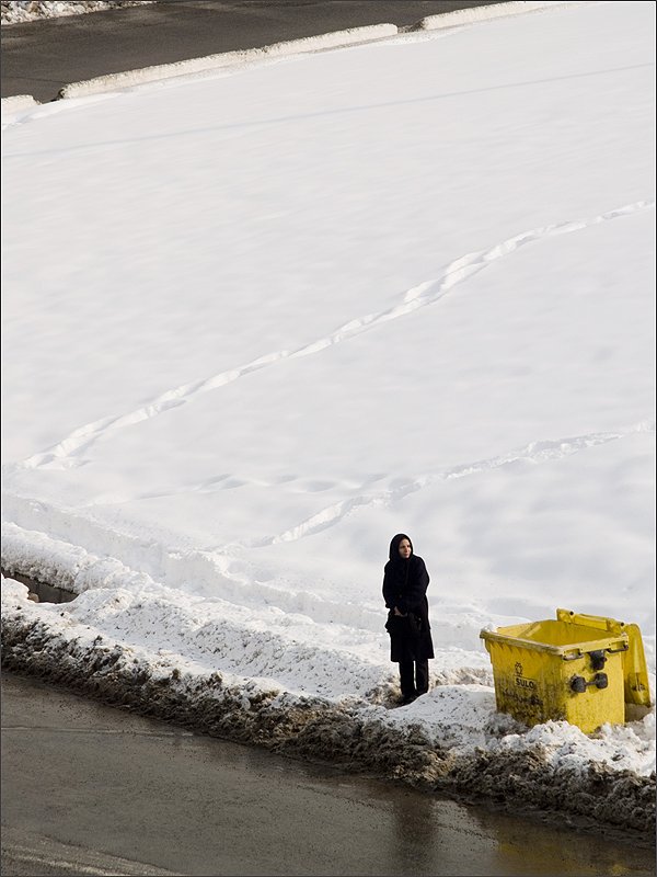 Zhoobin Mireskandari, In The City