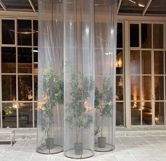 زیست گلخانه‌ای