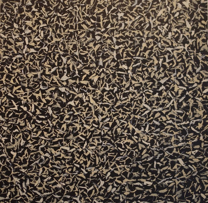 Bijan Daneshmand, Warninglid, 2019