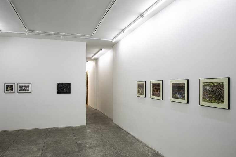 Disorder, installation view