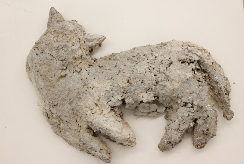 Hora Mirzabozorg, Untitled