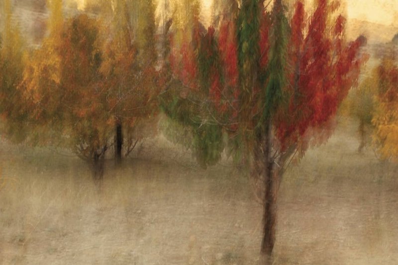 Amirhossein Heshmati, Untitled