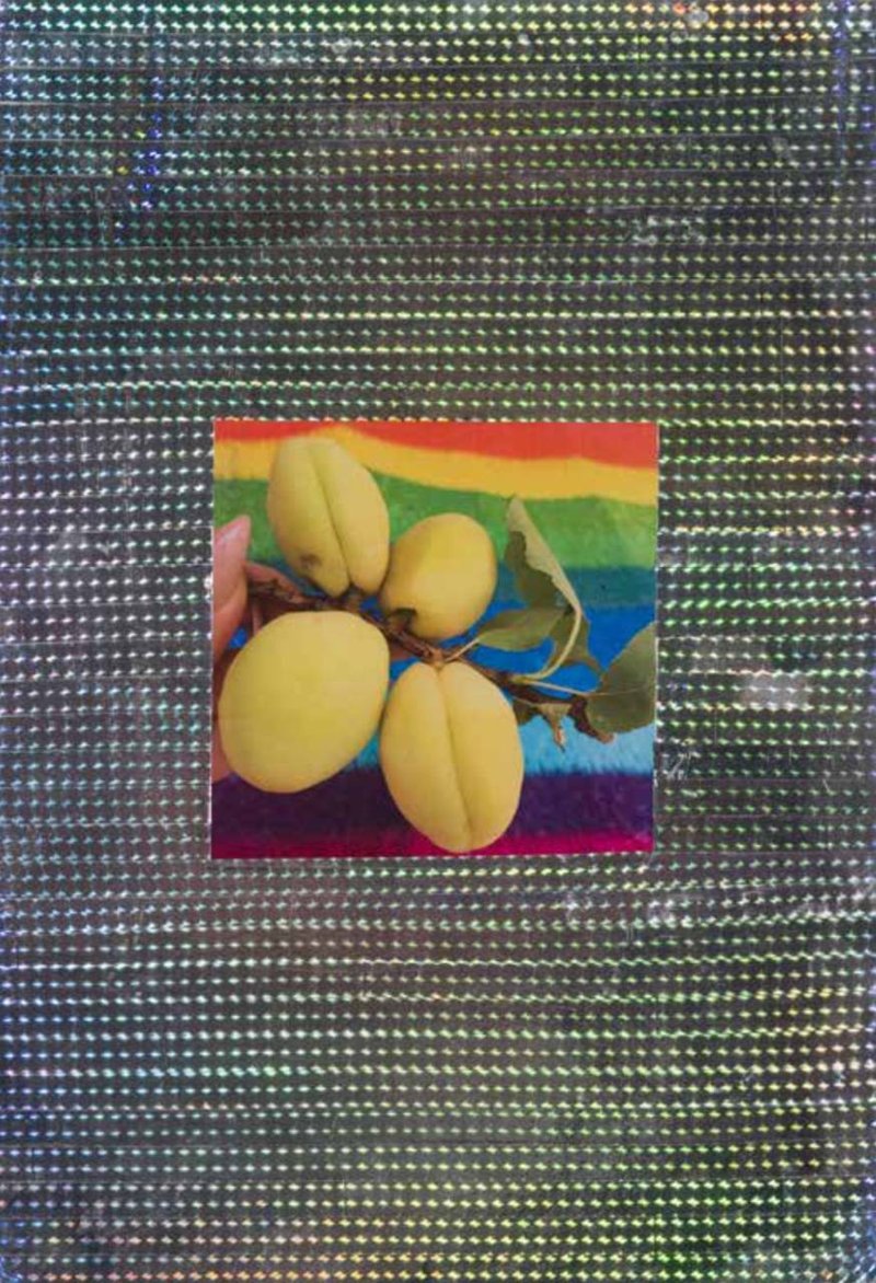 Nazanin Avani, Untitled
