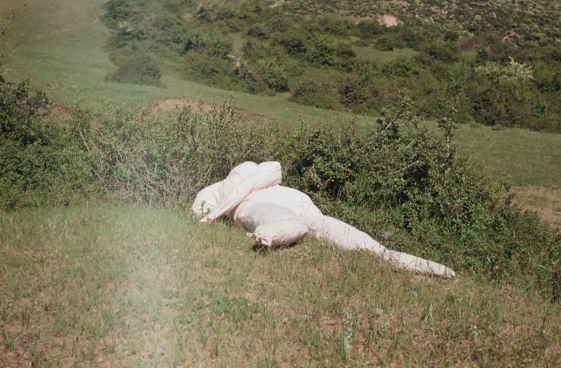 Zahra Yazdani, Untitled