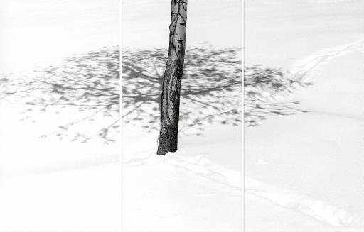 Abbas Kiarostami, Snow