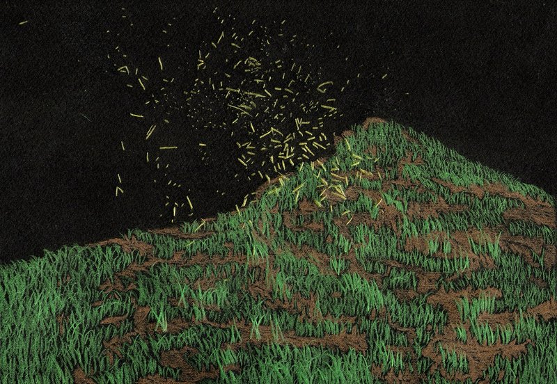 Hannaneh Jaloo, Untitled