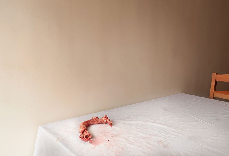Setare Sanjari, Untitled, 2014