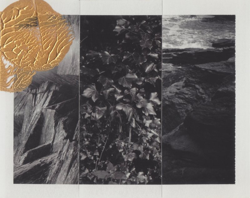 Cyrus Mahboubian, Cornwall/Oxfordshire Composite (Gold), 2024