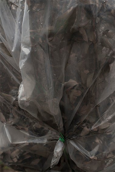 Shahrzad Derafsheh, Untitled, 2018