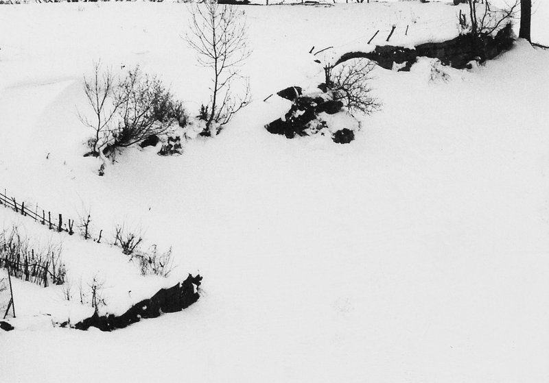 Abbas Gharib, Snow, 2012