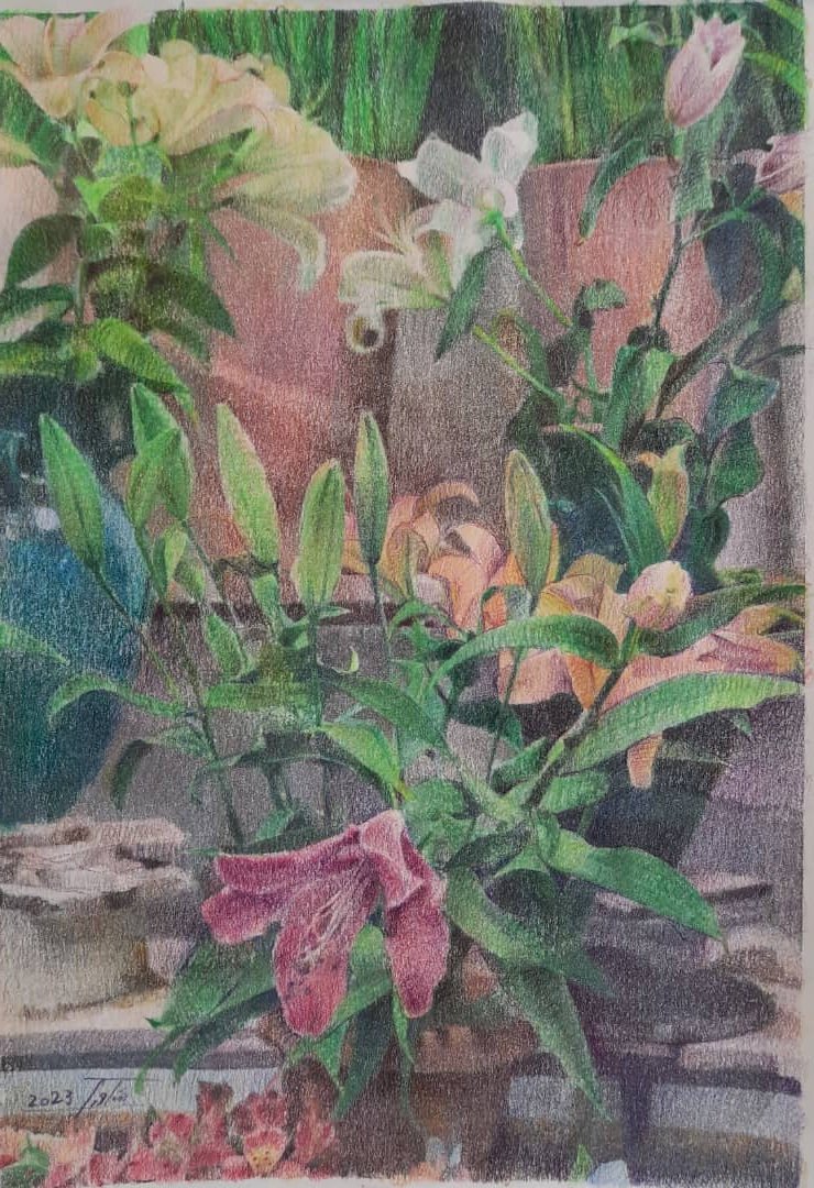 Fatemeh Shakouri, Untitled