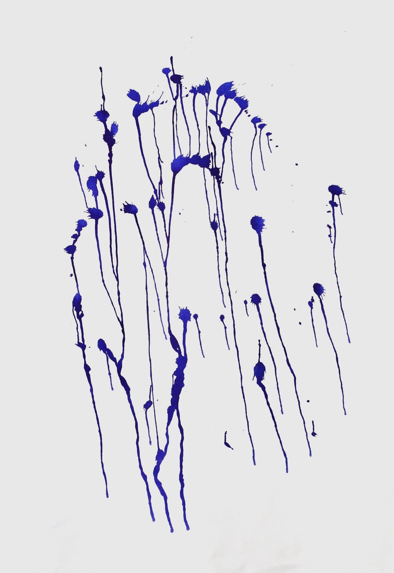 Parisa Shabani, Untitled, 2019
