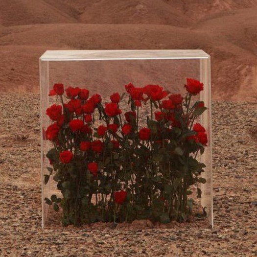 باد-زاد