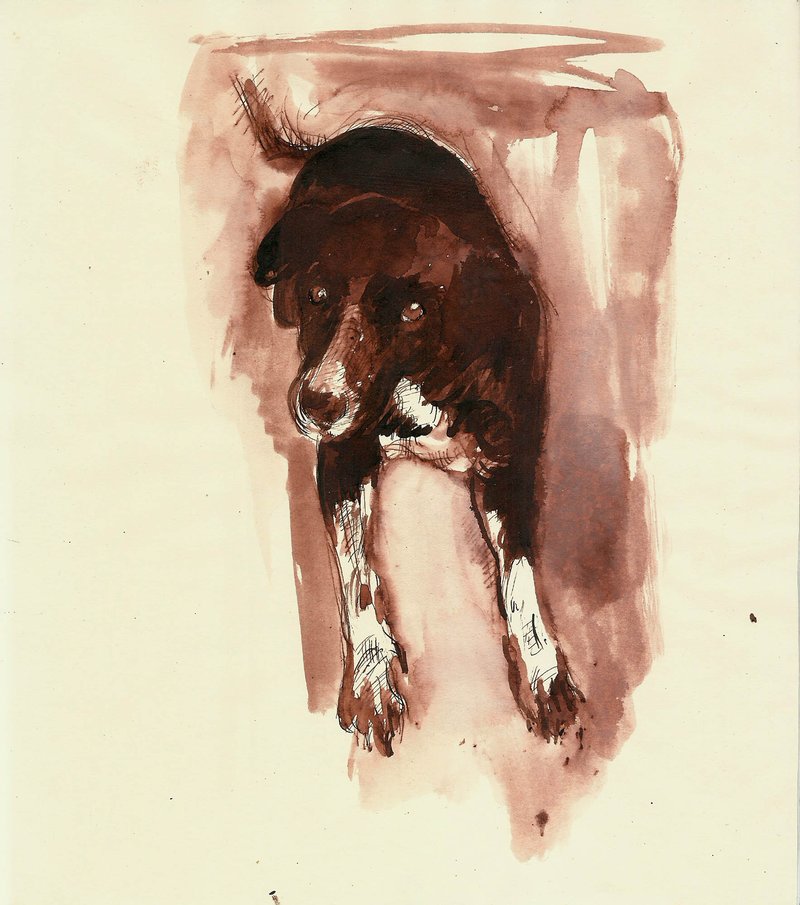 Hosein Shirahmadi, Mala the Black dog, 2019