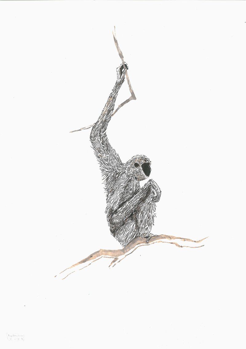 Keiman Mahabadi, Untitled, 2021