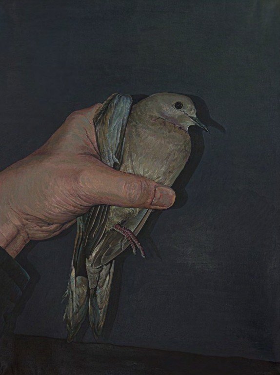 Hassan Ayazi, Untitled, 2025