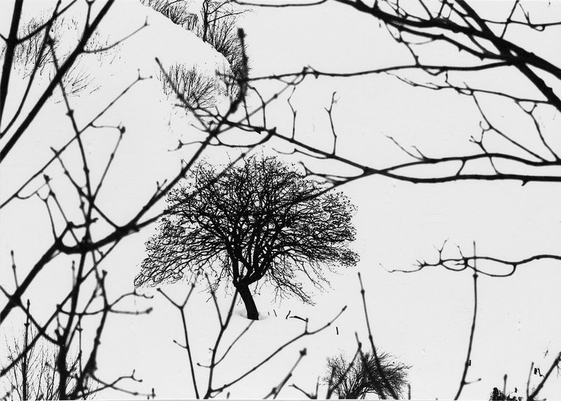 Abbas Gharib, Snow, 2012