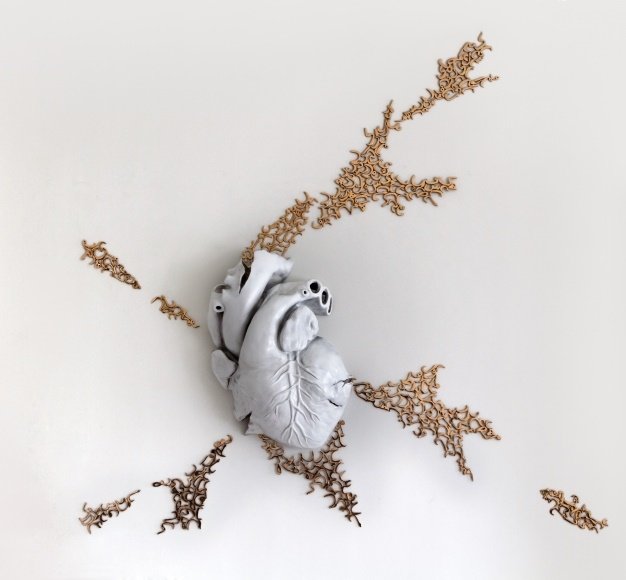 Farnaz Rabieijah, Apathy, 2015